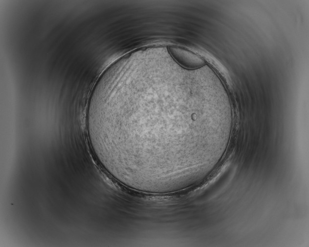 X0000087310953200705112114