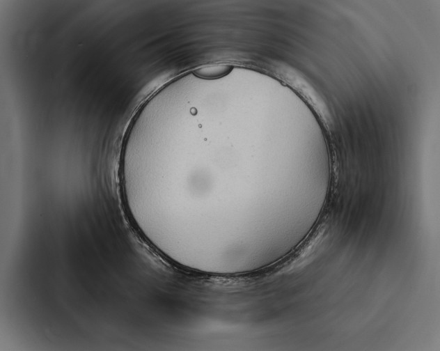 X0000087310954200705112114