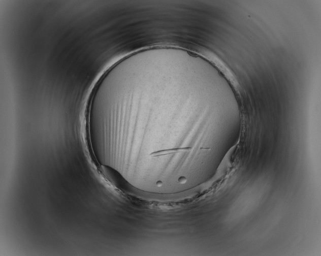 X0000087310955200705112114