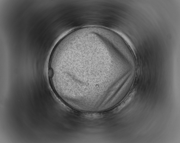 X0000087310957200705112114