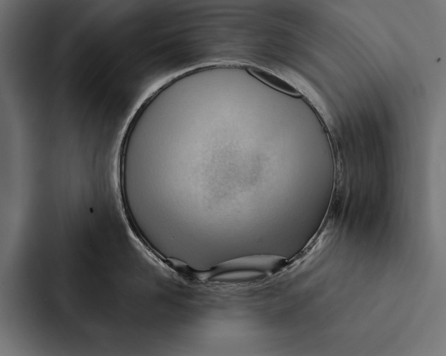 X0000087310958200705112114