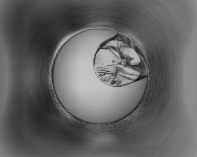 X0000087310960200705112114