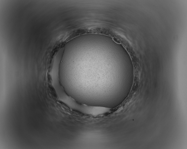 X0000087310965200705112113