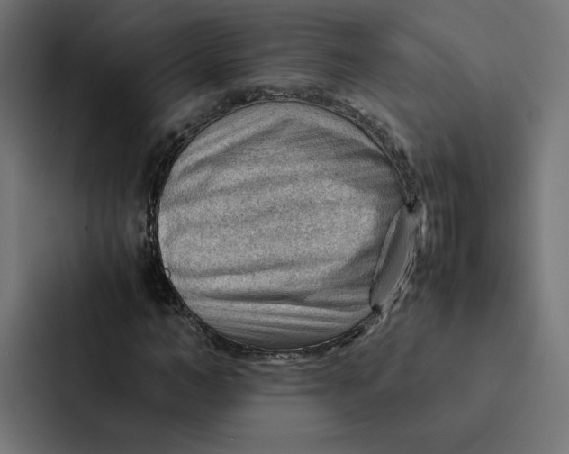 X0000087310966200705112113