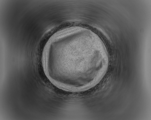 X0000087310967200705112113