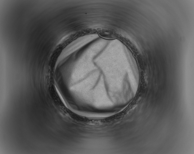 X0000087310968200705112113