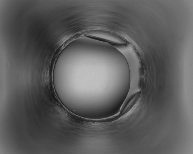 X0000087310969200705112113