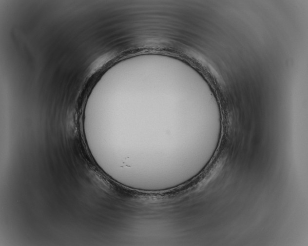 X0000087310970200705112113