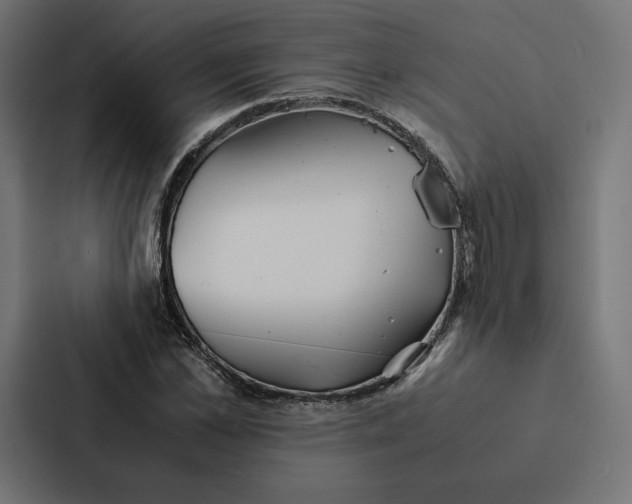 X0000087310973200705112113