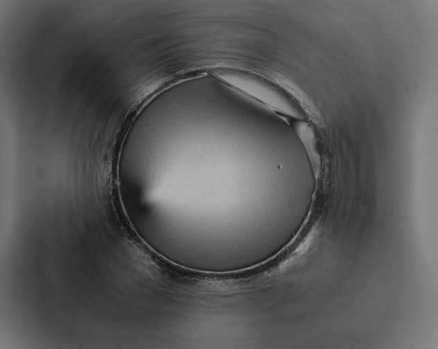 X0000087310977200705112113