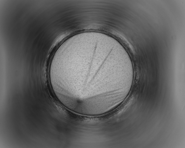 X0000087310978200705112113