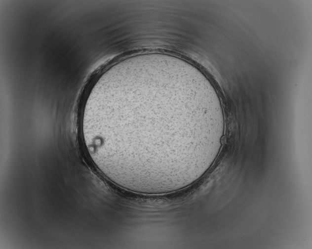 X0000087310979200705112113