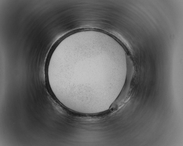 X0000087310980200705112113