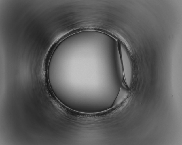 X0000087310981200705112113