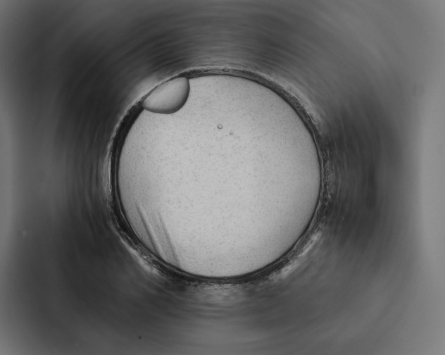 X0000087310982200705112113