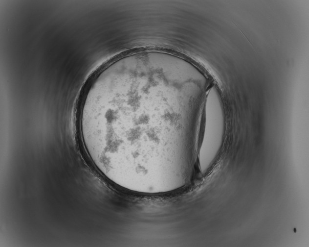 X0000087310983200705112113