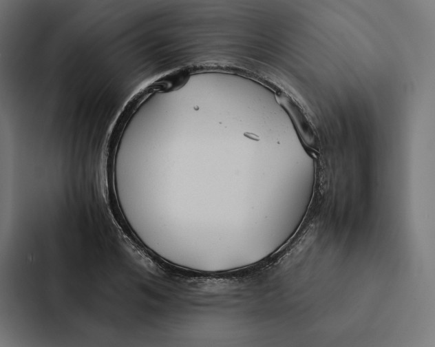 X0000087310984200705112113