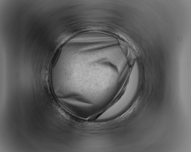 X0000087310985200705112113