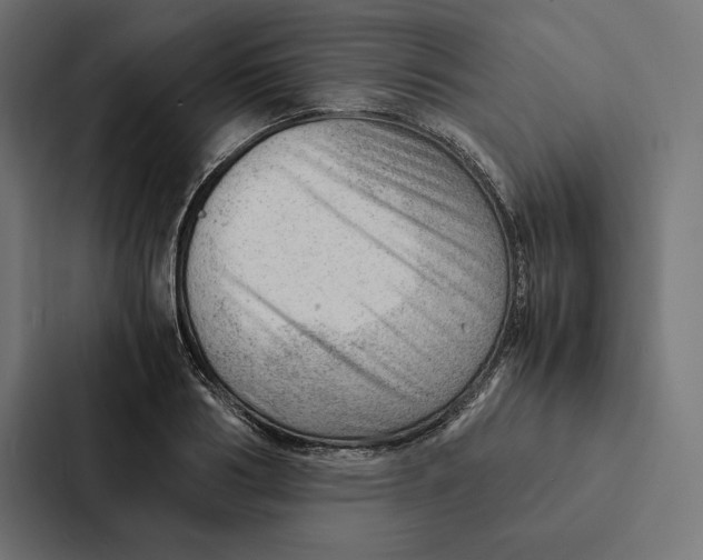 X0000087310986200705112113