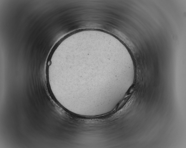 X0000087310988200705112113