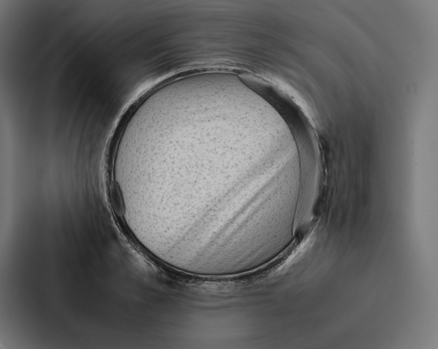 X0000087310989200705112113