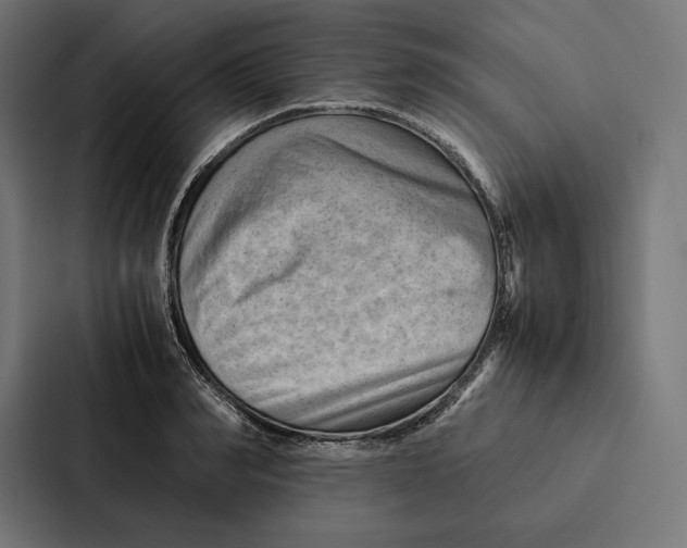 X0000087310990200705112113