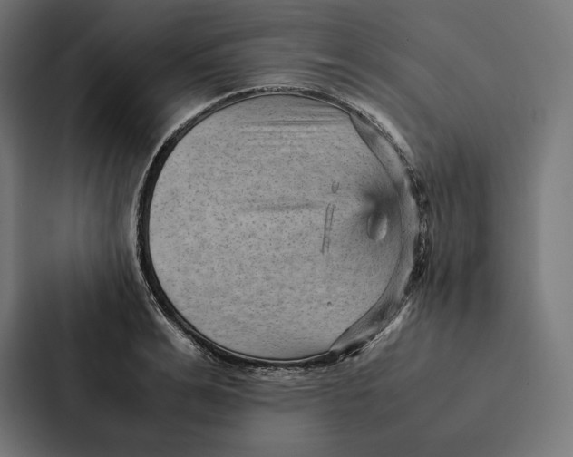 X0000087310991200705112113