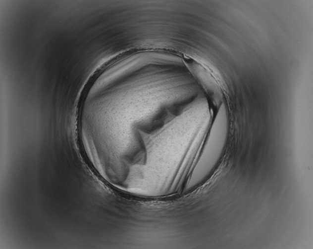 X0000087310992200705112113