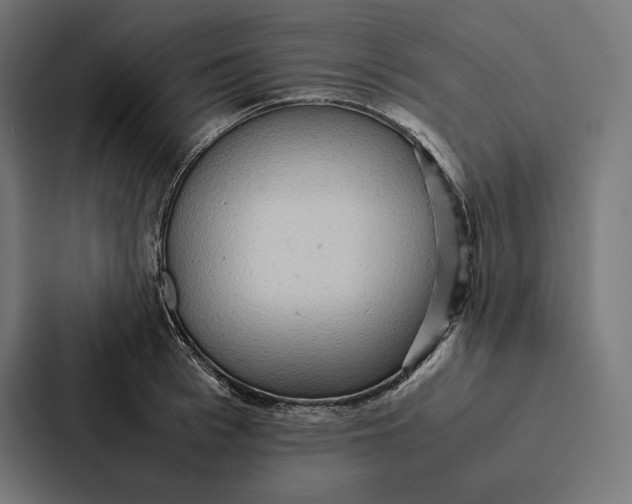 X0000087310993200705112113