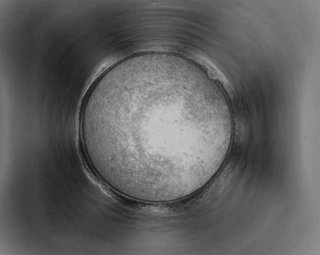 X0000087310994200705112113