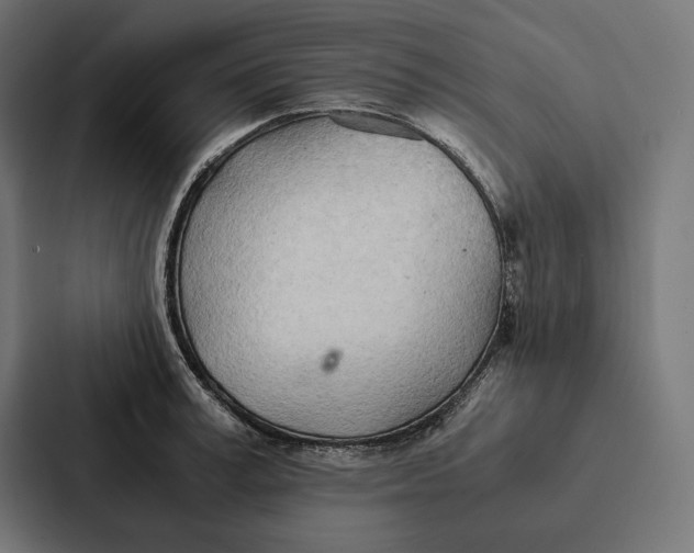 X0000087310995200705112113