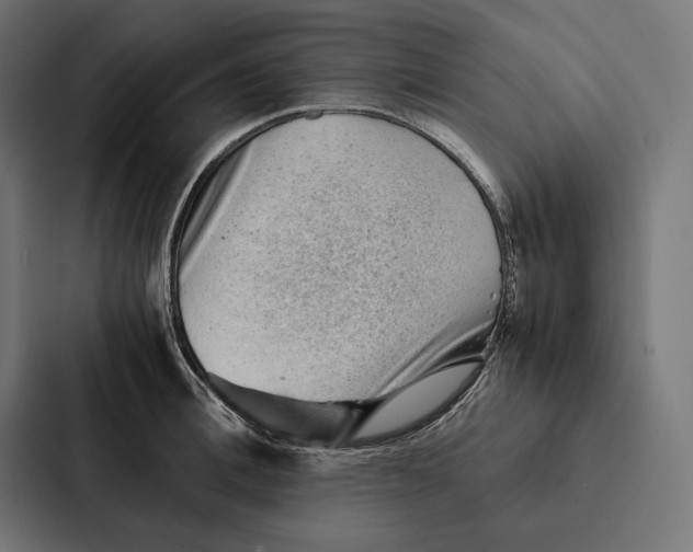 X0000087310996200705112113