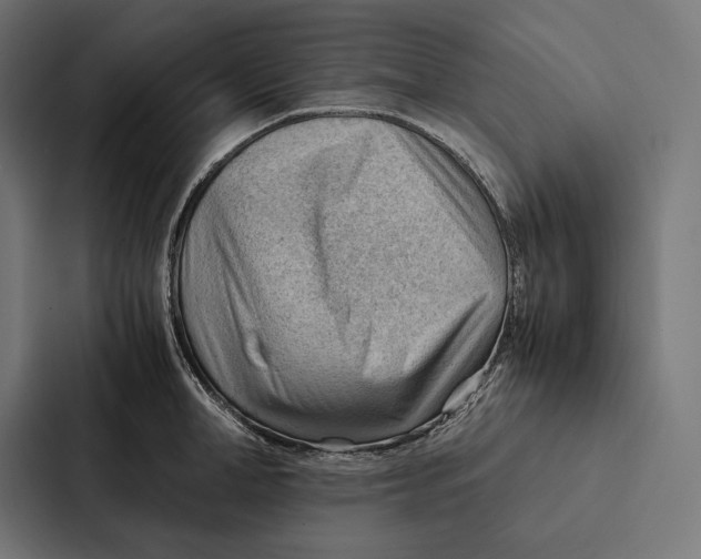 X0000087310998200705112113