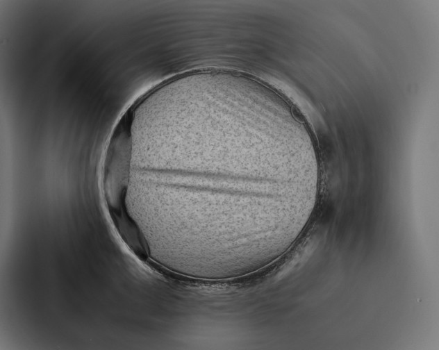 X0000087310999200705112113