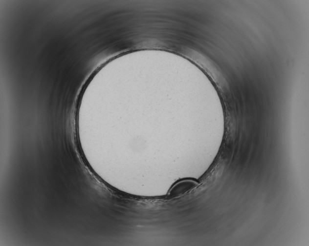 X0000087311000200705112113