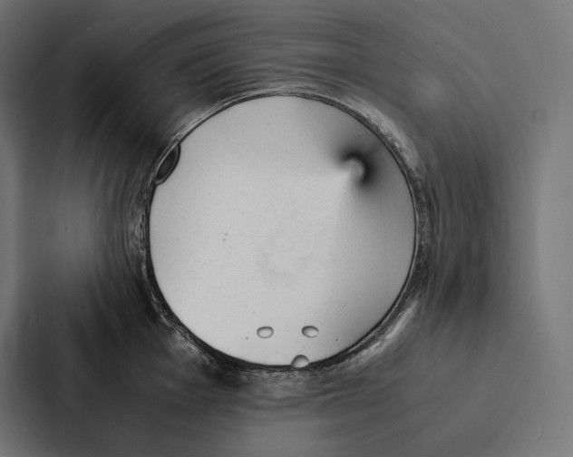 X0000087311001200705112113