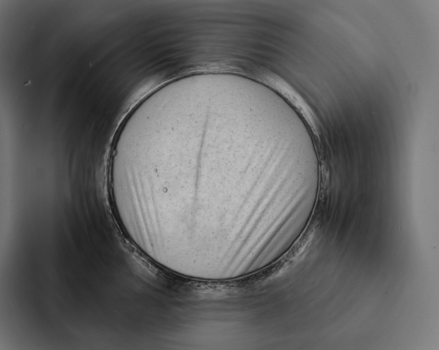 X0000087311002200705112113