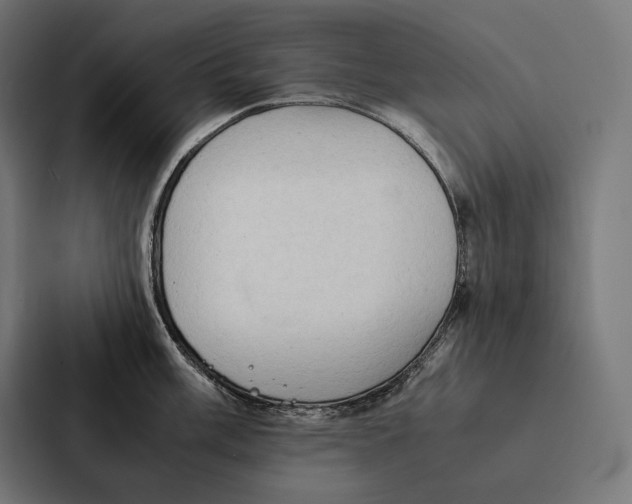 X0000087311003200705112113