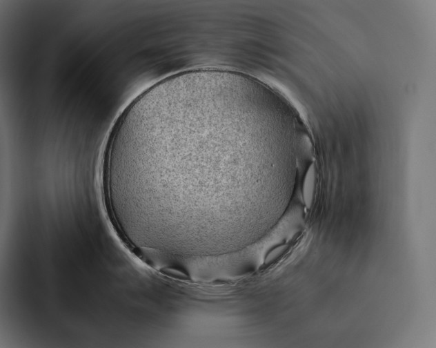 X0000087311007200705112113