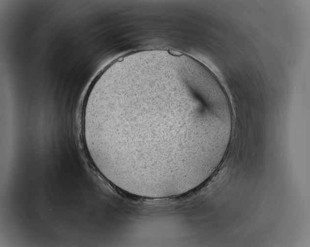 X0000087311008200705112113