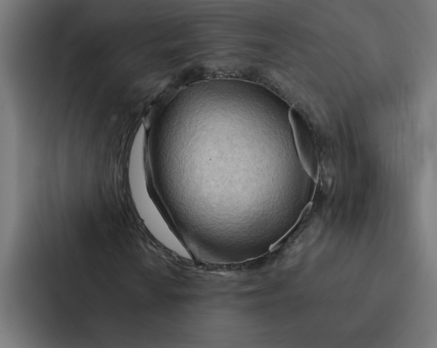 X0000087311010200705112112