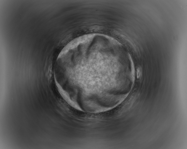 X0000087311011200705112112