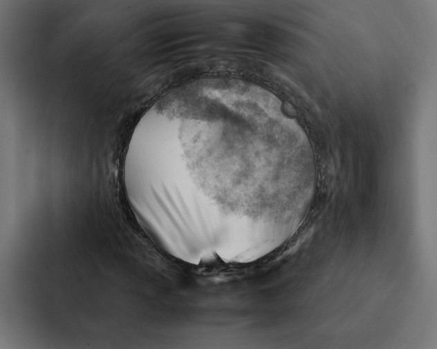 X0000087311013200705112112