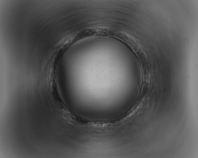 X0000087311014200705112112