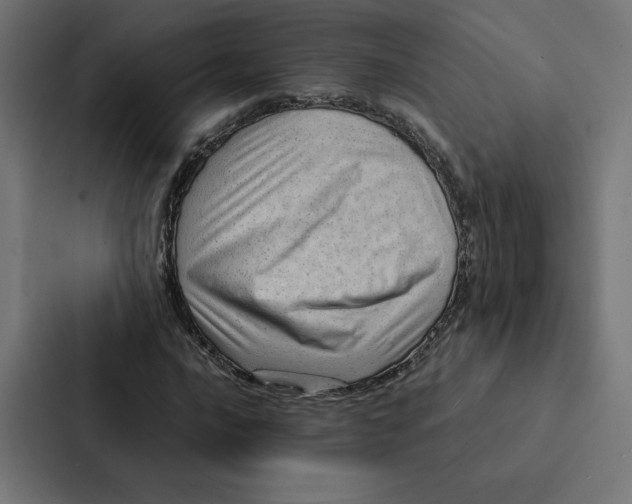 X0000087311016200705112112