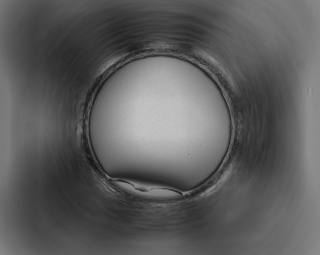 X0000087311017200705112112