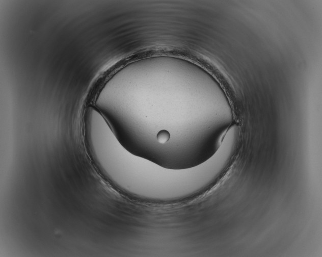 X0000087311018200705112112