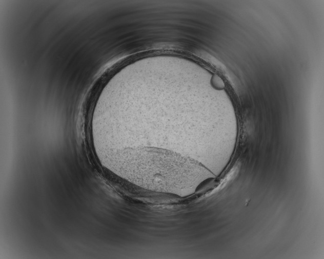 X0000087311019200705112112