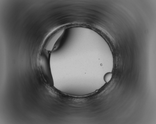 X0000087311021200705112112