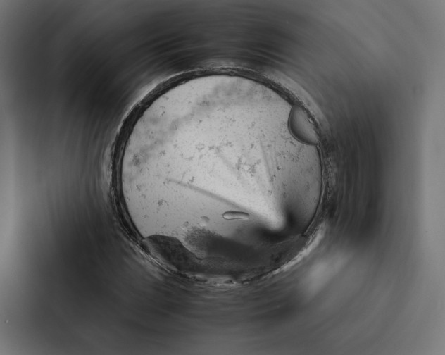 X0000087311023200705112112